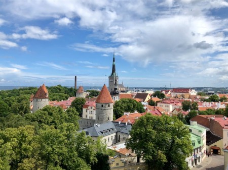 El viaje de reformas de gobierno abierto de Estonia – 13 de julio 2022